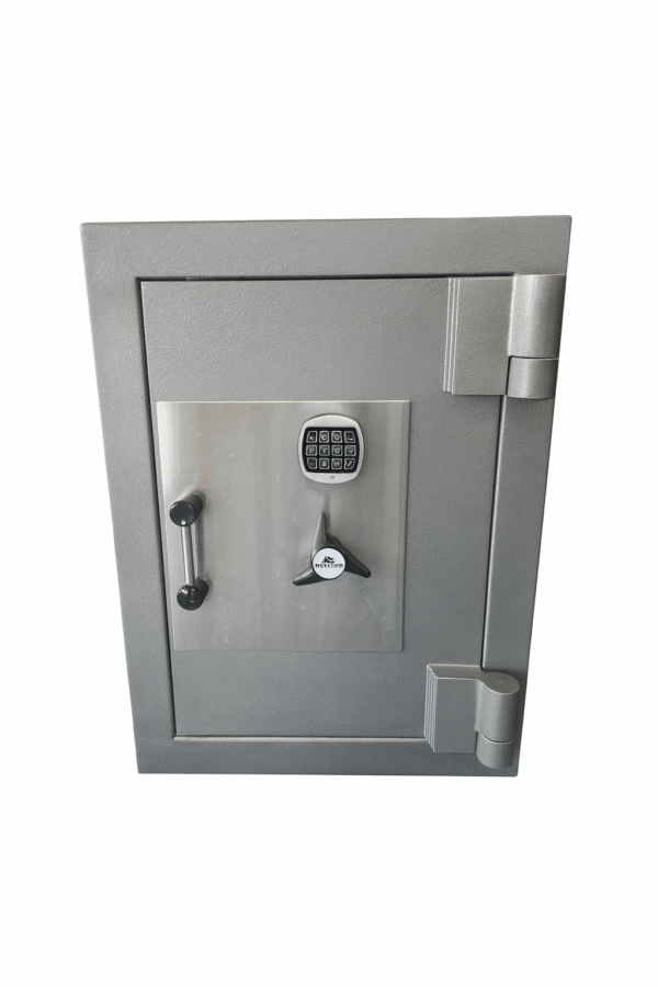 Guardmaster TDR Digital Safe